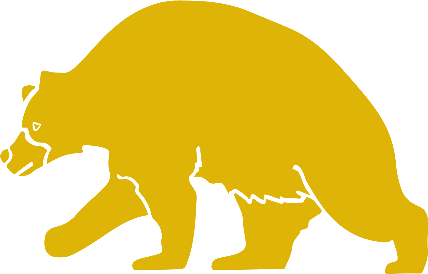 I Need Help With A Bear - Bear (1667x1134), Png Download