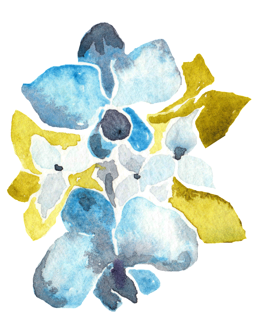 Moth Orchid (1024x1167), Png Download