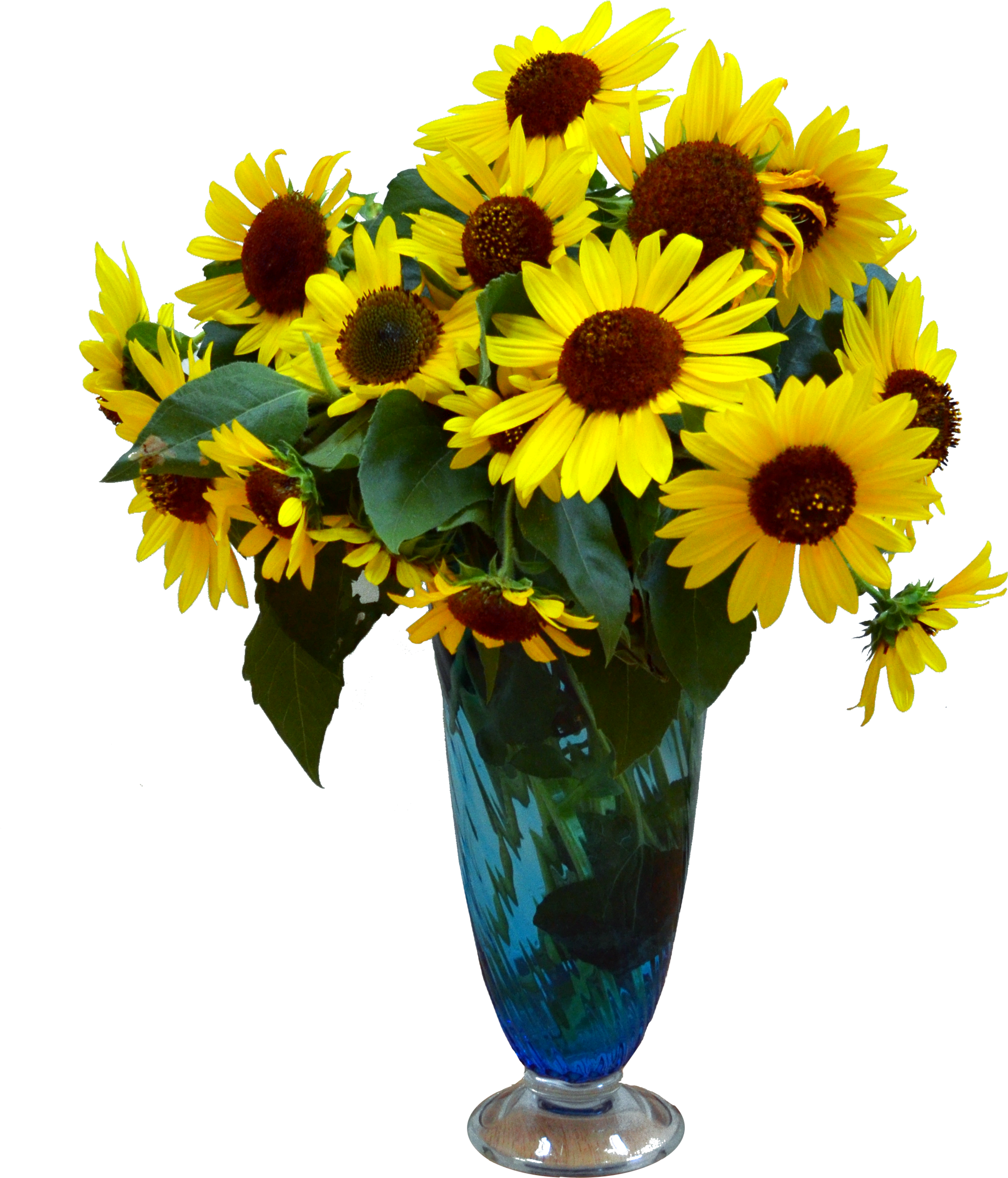 Sun Flowers In Vase Png Stock Photo (4718x5556), Png Download
