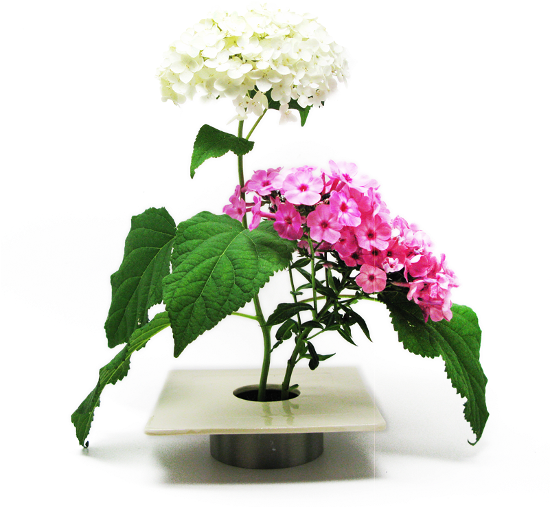 Ichiban Vase - Beekman 1802 Llc (800x800), Png Download