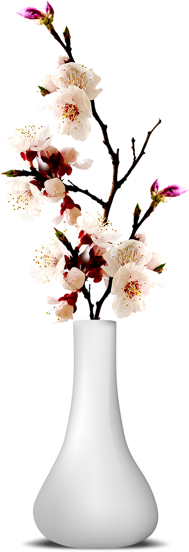 Flower Vase Png Transparent Image - Vase And Flower Png (1055x2386), Png Download