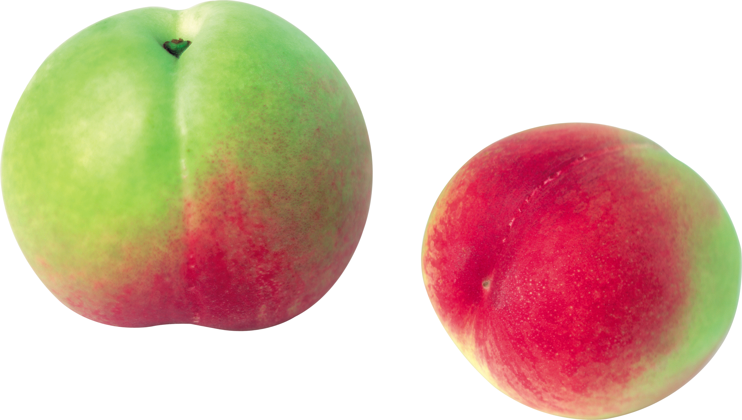 Jpg Library Green Png Image Purepng Free Cc Library - Peach (3000x1700), Png Download