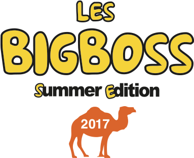Big Boss - 2018 (405x329), Png Download