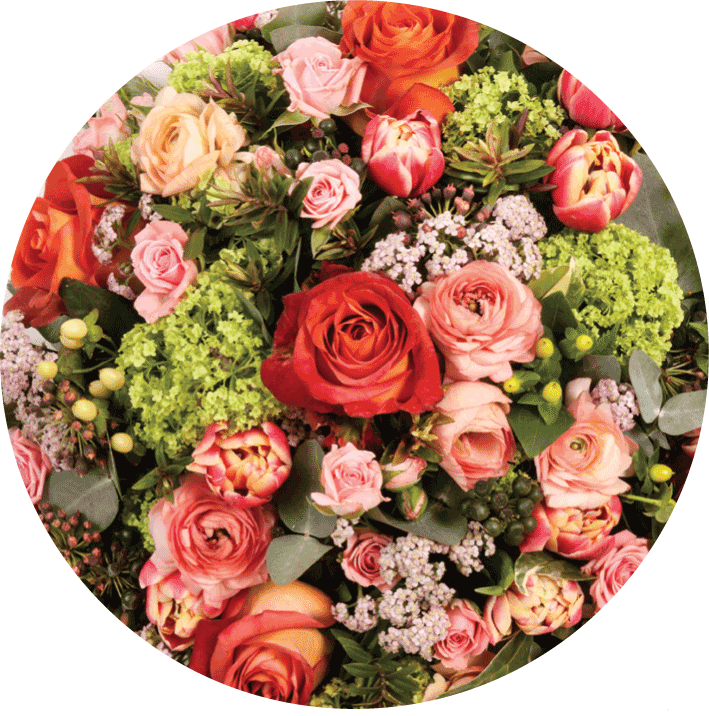 Pastel Colour Scheme - Garden Roses (709x716), Png Download