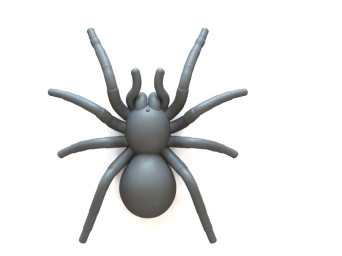 Spider Tarantula 3d Print - Tarantula Print Out (667x500), Png Download