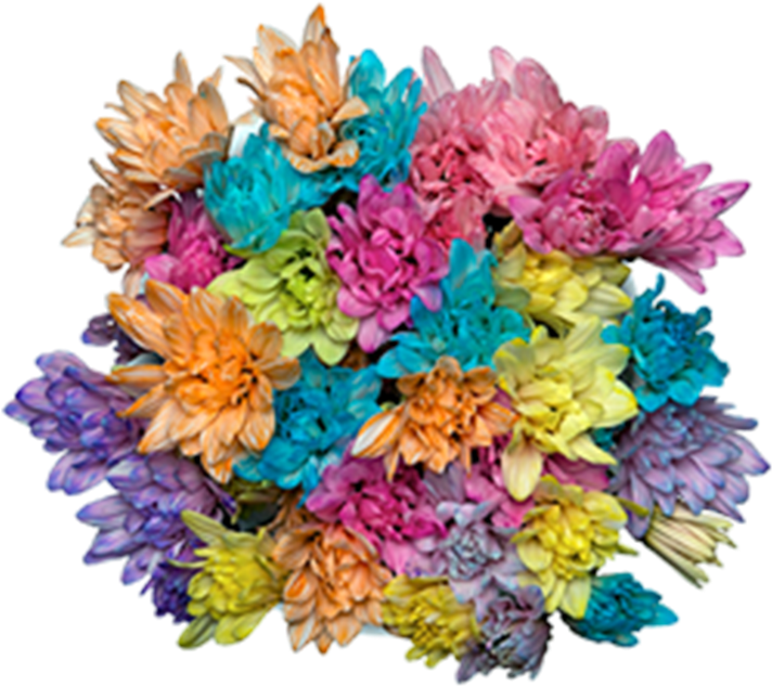 Orange Fall Orange Fall - Bouquet (800x800), Png Download