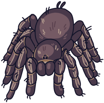 Tarantula Comm For Grimmtaels On Twitter - Cartoon (500x500), Png Download