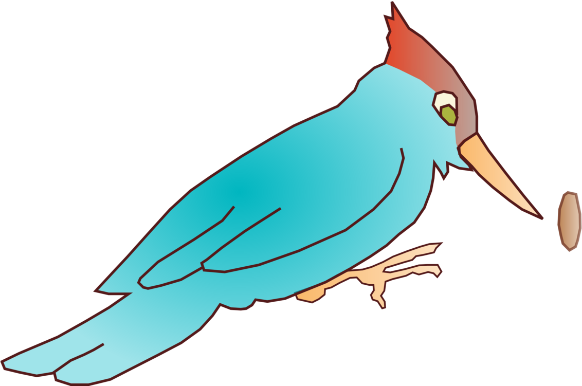 Woody Woodpecker Bird Drawing Download - Draw A Cartoon Woodpecker (1147x750), Png Download