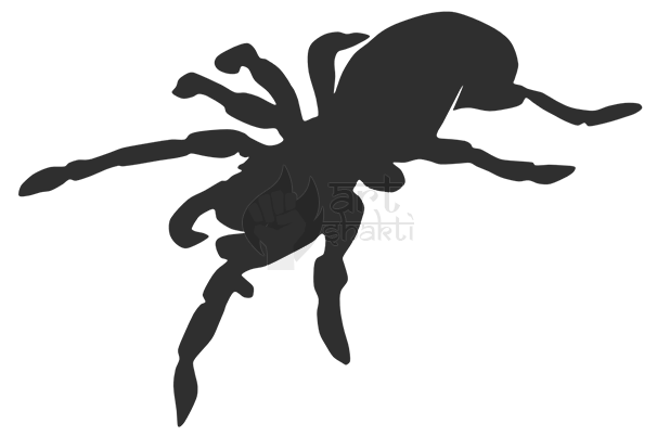 Logo (606x402), Png Download