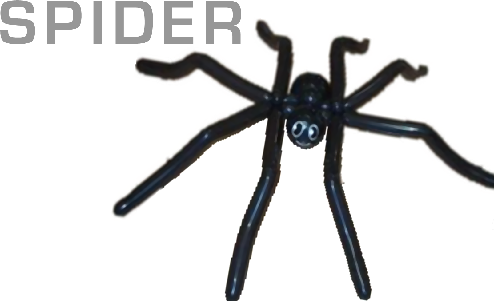 Balloons - Araneus Cavaticus (1800x1200), Png Download