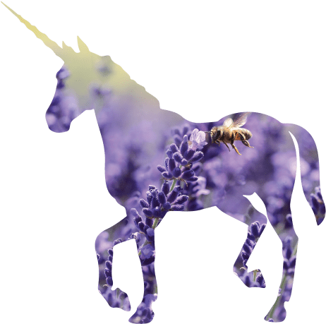 Crop Your Photo Into A Unicorn Shape - Lockscreens Unicorns (680x484), Png Download