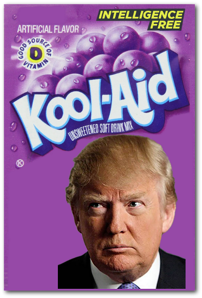Intelligence Free Kool-aid - Grape Kool Aid Packets (421x600), Png Download