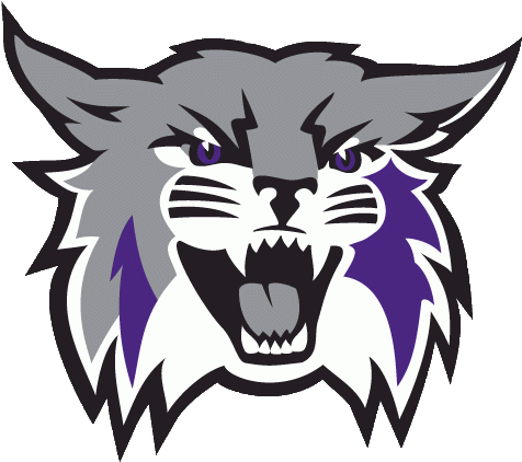 Wildcat - Weber State Wildcat (498x480), Png Download