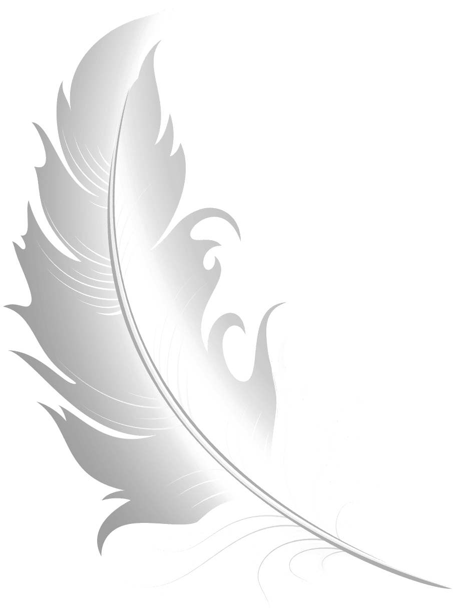 White Feather Free Png Image - Illustration (953x1222), Png Download