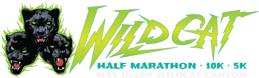 Wildcat - Brazen Racing (900x279), Png Download