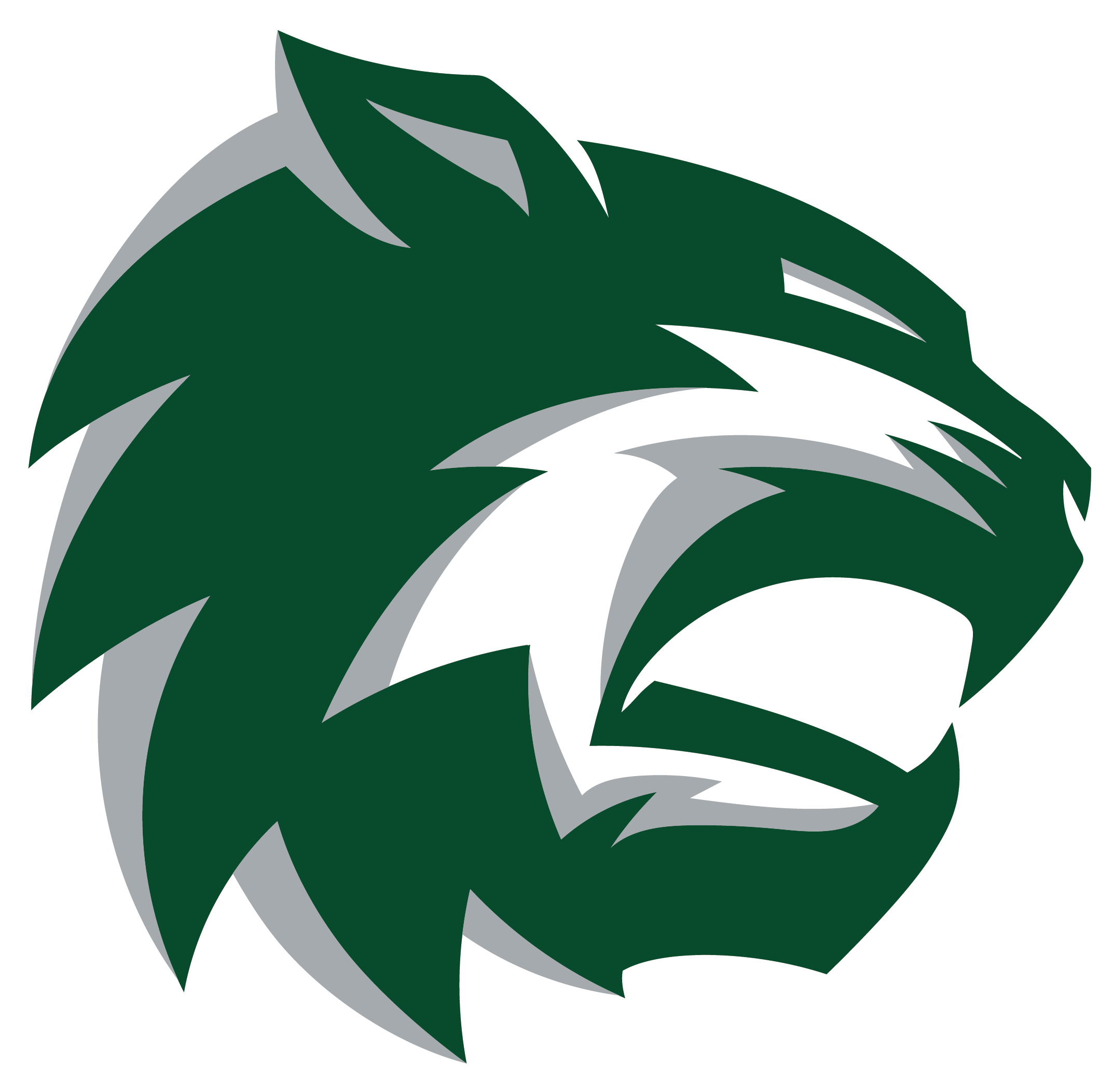 De Soto Wildcats - De Soto Wildcats Logo (2252x2123), Png Download