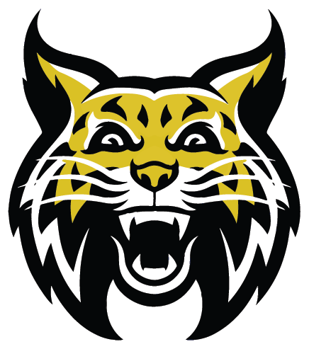 Options - Wildcat Mascot (436x493), Png Download