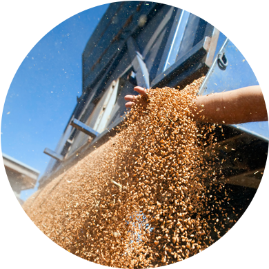 Dust Collection Challenges In The Agricultural Industry - Agricultural Markets Instability: Revisiting The Recent (399x399), Png Download