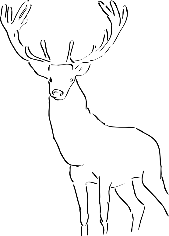 Reindeer Raindeer Stag Black White Line Animal-555px - Outline Of A Stag (555x776), Png Download