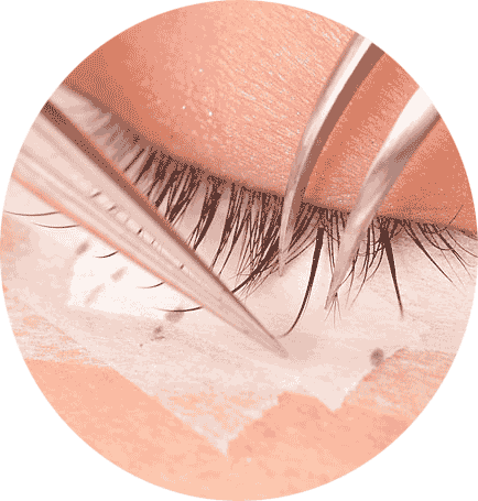 Semi Permanent Eye Lash (434x455), Png Download