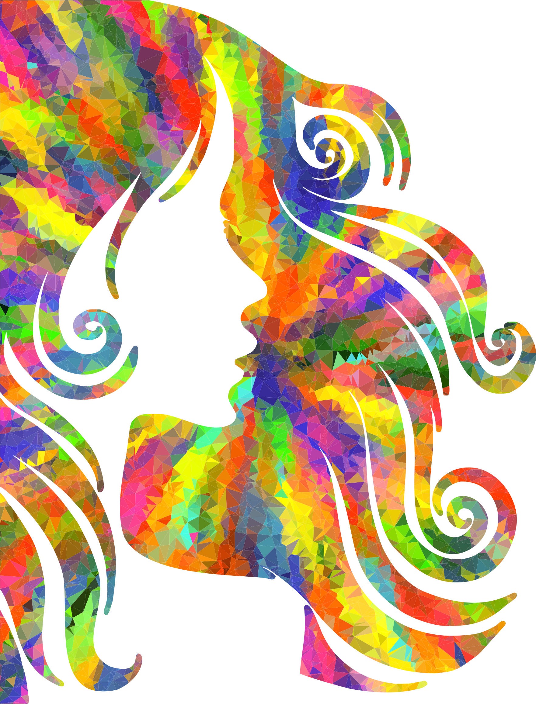 Hair Clipart Silhouette - Journal: 160 Page Lined Journal/notebook (1762x2316), Png Download