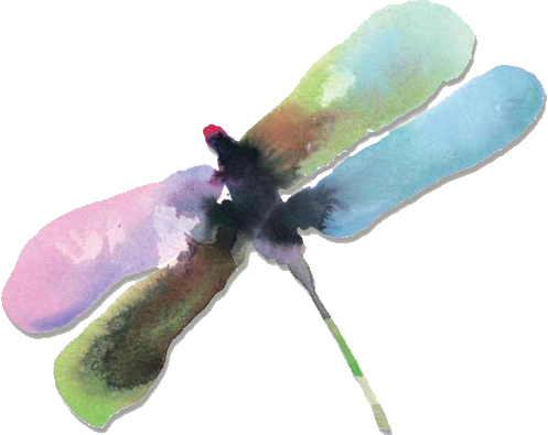 16 Jan 2012 - Watercolor Paint (497x395), Png Download