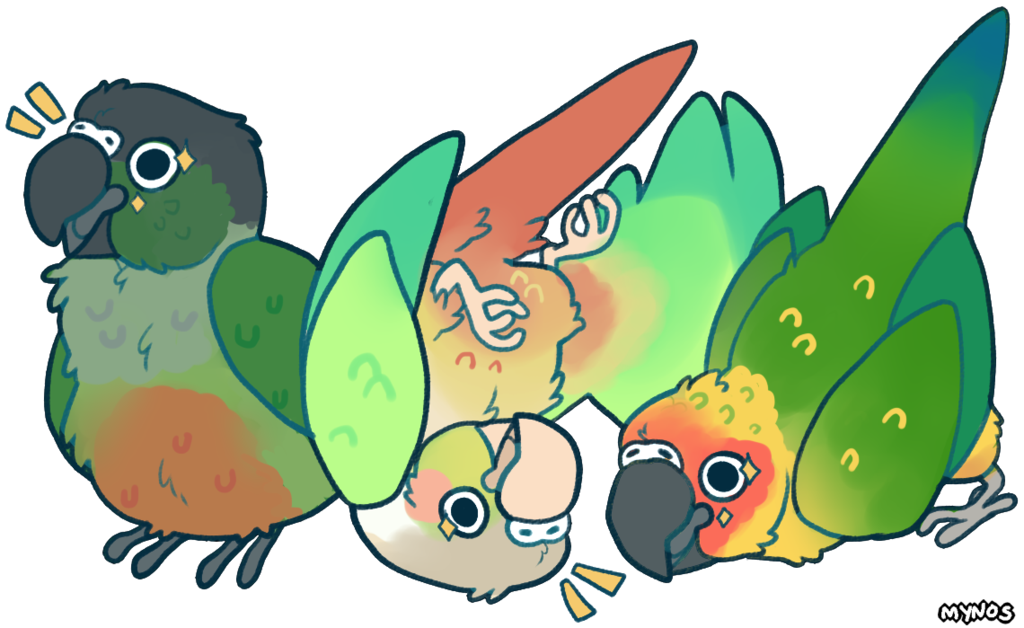 All Hail Bird Orb By Mynosylexia On Deviantart Jpg - Conure (1024x628), Png Download