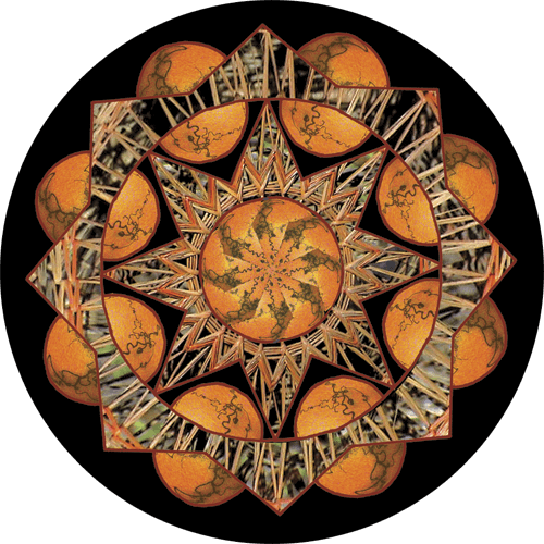 Sacred Orbs Mini Sticker - Root Concepts (500x500), Png Download