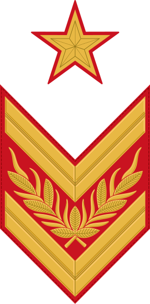Marshal Of The Soviet Union Rank Insignia , 1940-1943 - Marshal Of The Soviet Union (296x598), Png Download