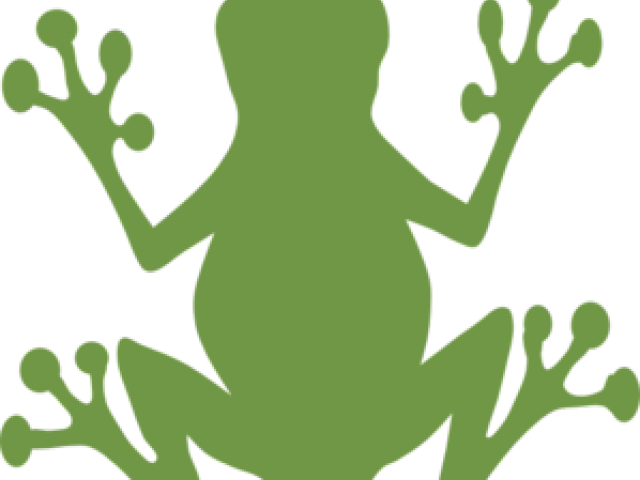 Sad Frog Cliparts - Outline Frog Clip Art (640x480), Png Download