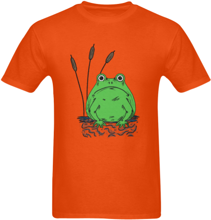Sad Frog Sunny Men's T- Shirt - First Order (501x500), Png Download