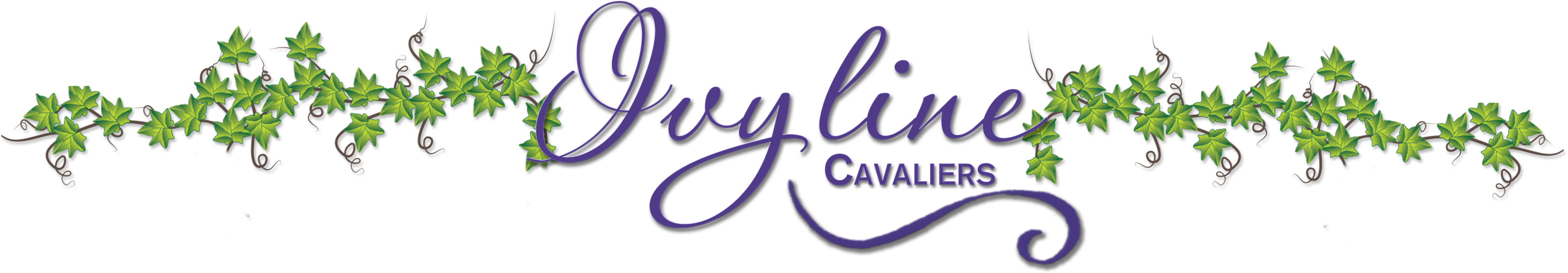 Ivyline Cavaliers - Cleveland Cavaliers (3900x1200), Png Download
