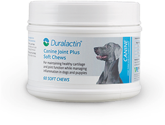 Duralactin Canine Joint Plus Chews 60ct 400x500px-png - Duralactin Canine Joint Plus Soft Chew - 90 Soft Chews (320x400), Png Download