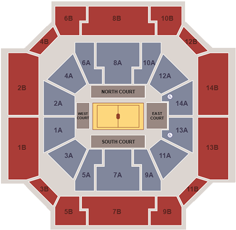 Ohio State Buckeyes Womens Volleyball - Ohio State University (500x500), Png Download