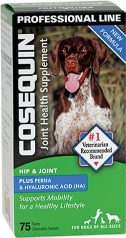 Container Of Cosequin Standard Strength Plus - Cosequin Standard Strength Plus Boswellia And Ha 75 (350x500), Png Download