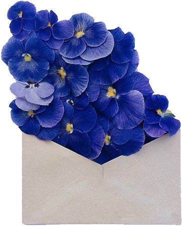 Aesthetic, Flowers, And Png Image - Flowers In The Envelope (500x488), Png Download
