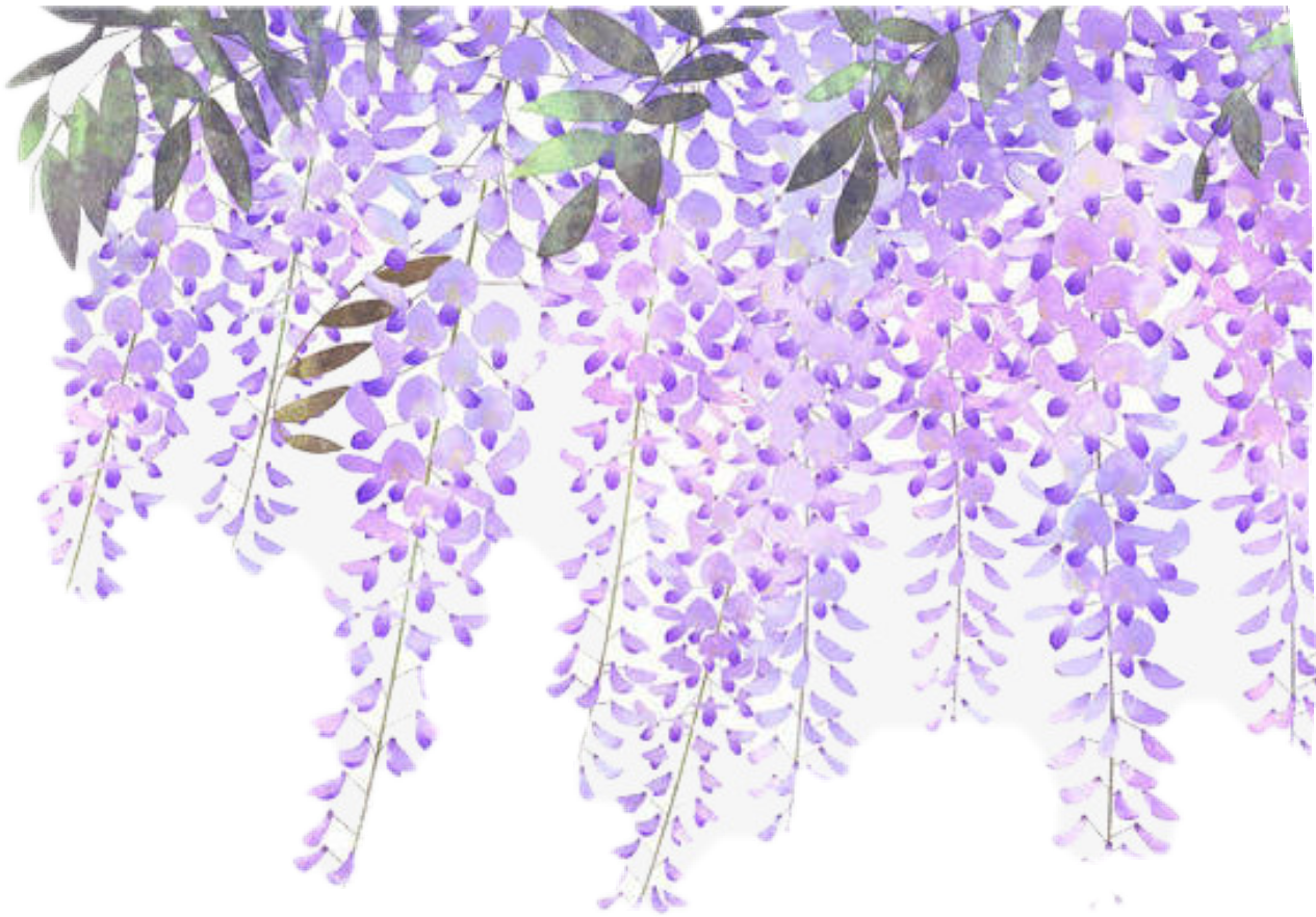 Flowers Vines Purple Sticker - Lavender Flower Border Png (1265x882), Png Download