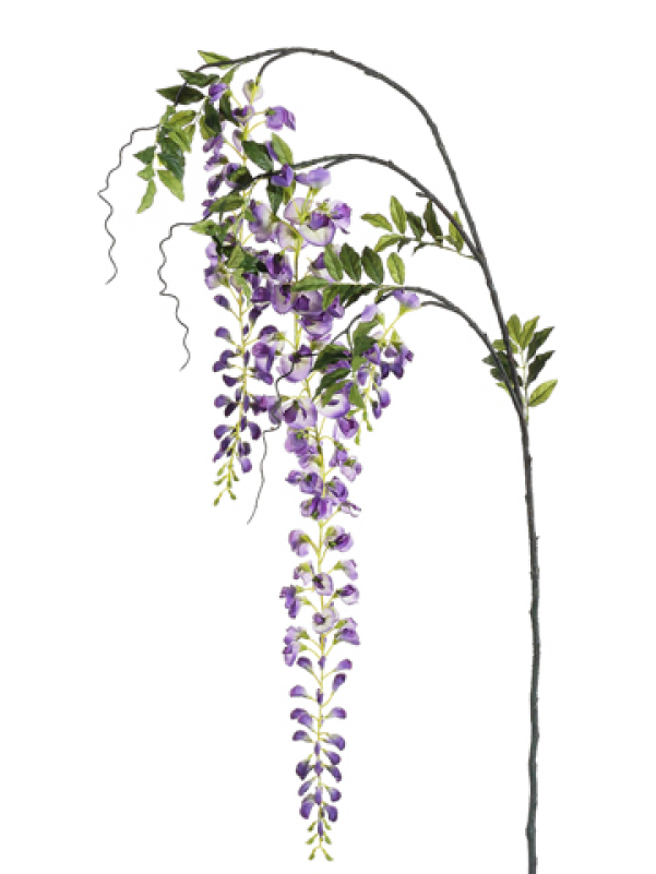 5" Japanese Wisteria Spray Two Tone Lavender - Silk Plants Direct Japanese Wisteria Spray - Lavender (800x800), Png Download