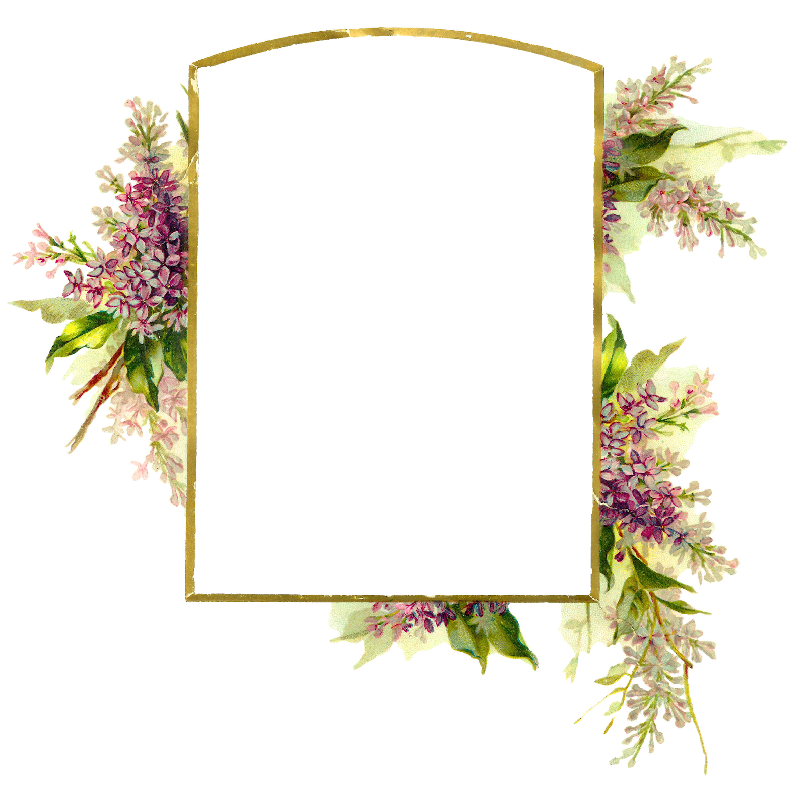 Digital Wisteria Flower Frame Download Png - Design (1600x1573), Png Download
