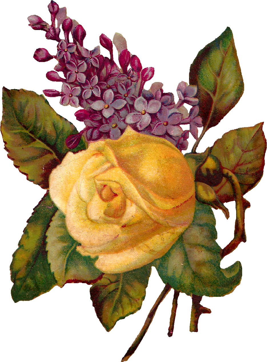 Digital Rose Clip Art - Antiqueimages Blogspot Com Corner (1013x1343), Png Download