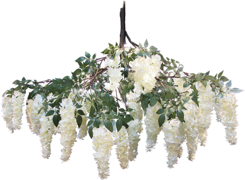 Wisteria White Hanging Branch 150cm - Wisteria (500x500), Png Download