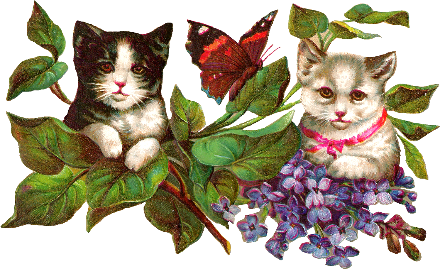 Digital Cat Clip Art - Vintage Kitty-katzen Und Schmetterling Karte (1600x980), Png Download