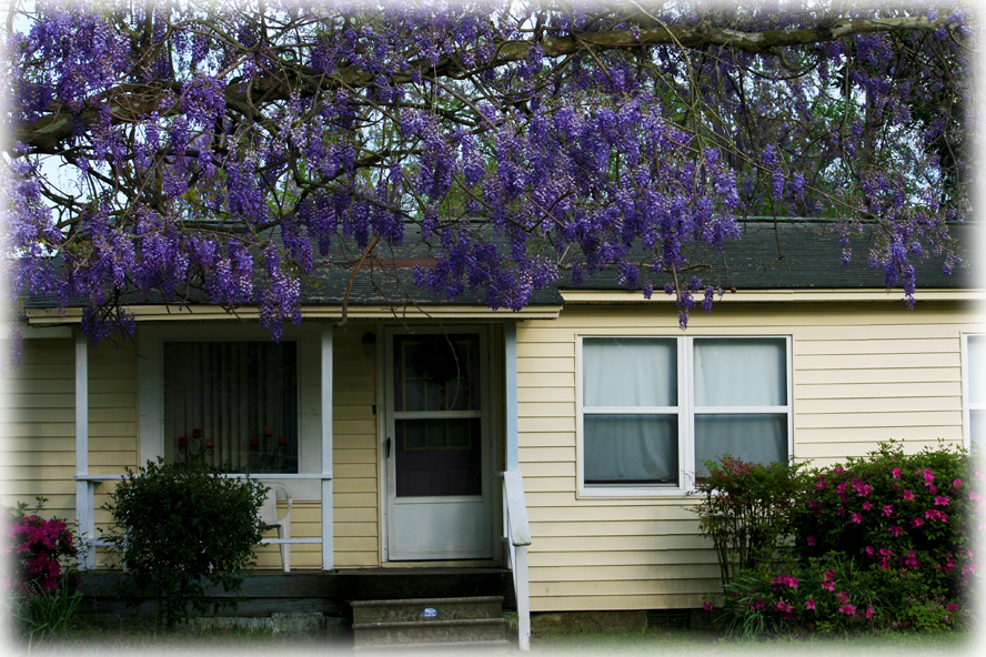 Wild Things Grow - Siding (888x592), Png Download