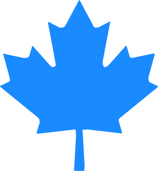 Procan Maple Leaf - Canada Maple Leaf Transparent (553x599), Png Download