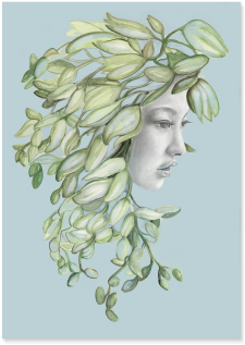 Wisteria - Paris (304x400), Png Download