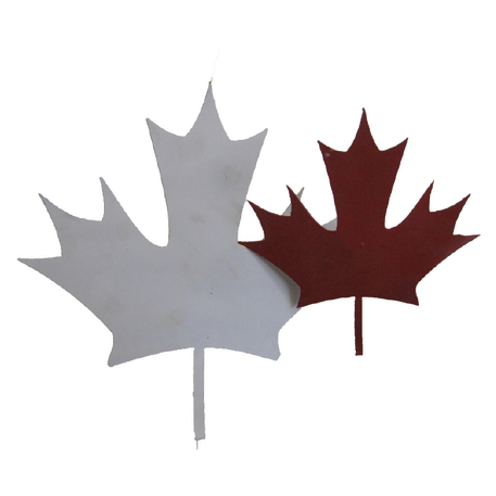 Canada Flag With Cn Tower (498x498), Png Download