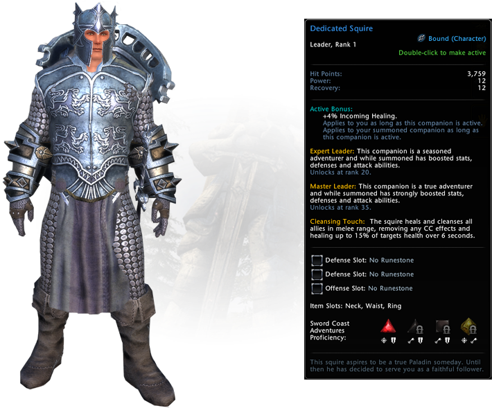 Download Neverwinter Dedicated Squire Companion Full Size PNG Image