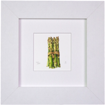 Asparagus Mini Print - Garden Asparagus (480x480), Png Download