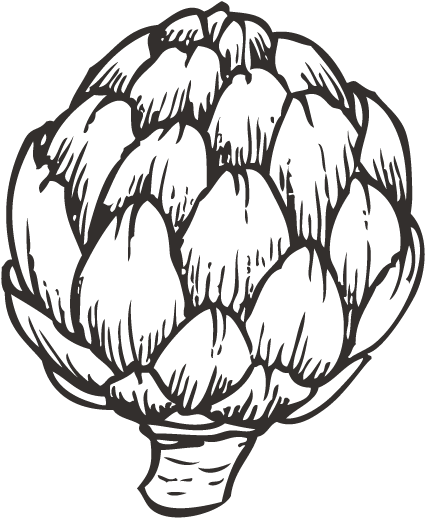 Banner Download Artichoke Drawing Asparagus - Film (600x600), Png Download