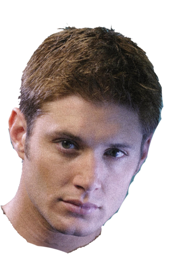 Transparent Disparity - Jensen Ackles (500x553), Png Download